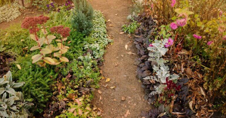 Fall Planting: How Late Can You Go?