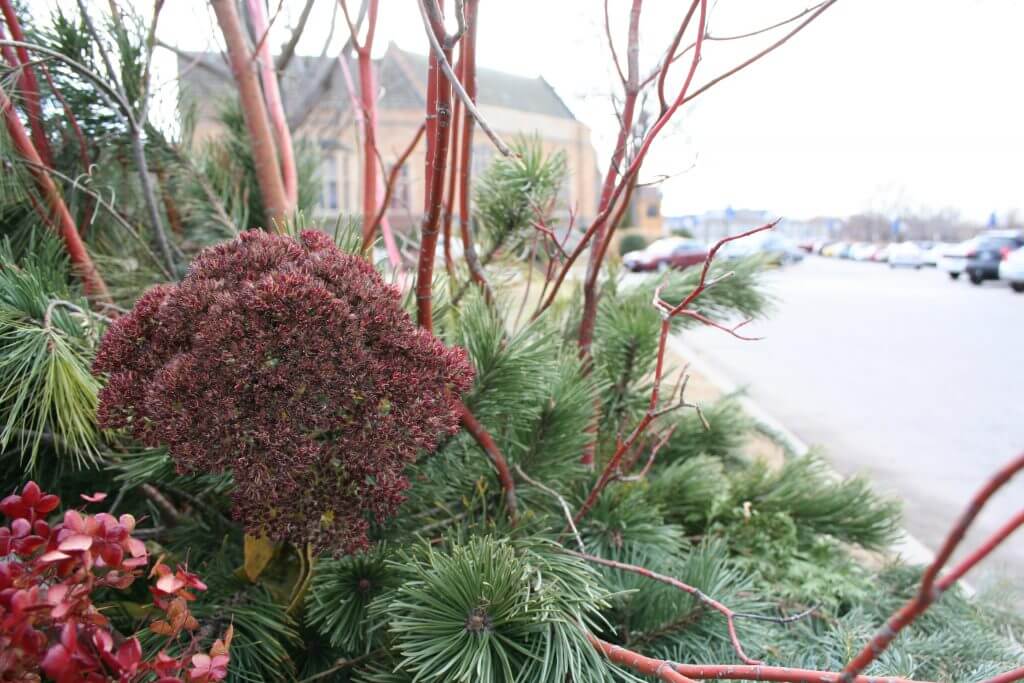 Holiday decor can include a variety of natural or artificial materials. 