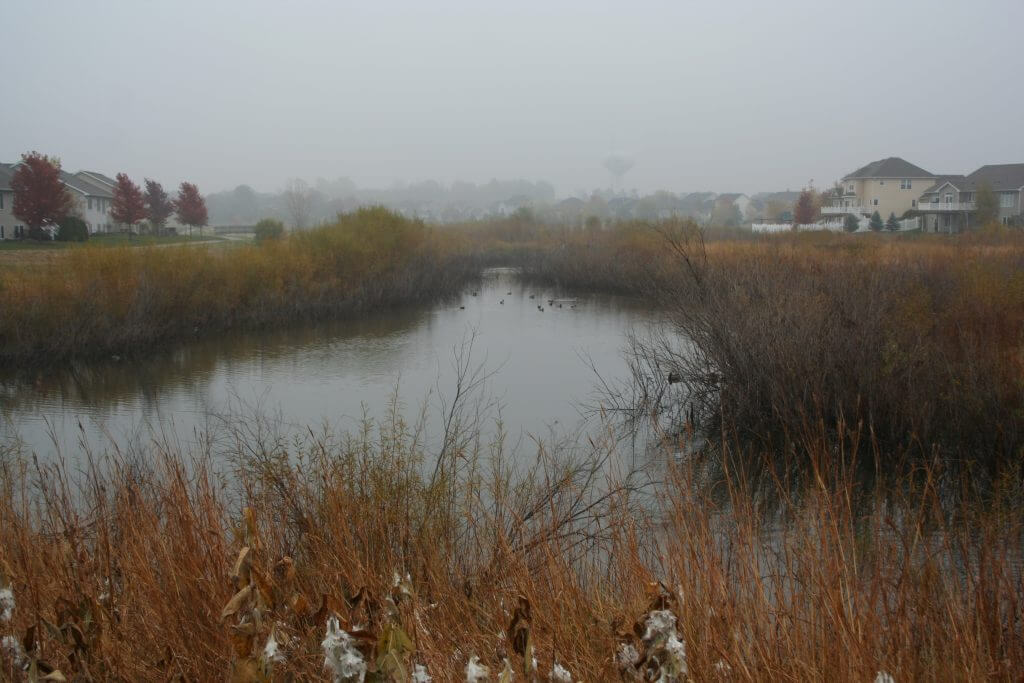 If you are lucky enough to live near a pond or lake, November has a bittersweet atmosphere. 