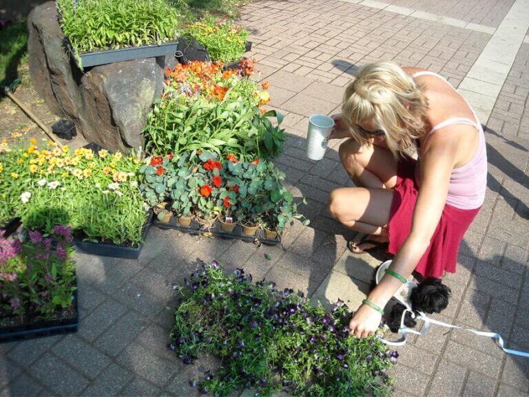 What Your Lawn Needs This Fall