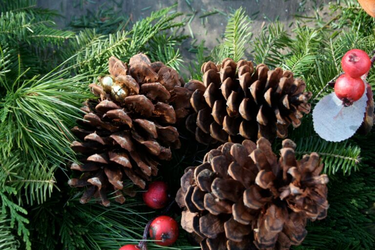 Decorating From the Garden