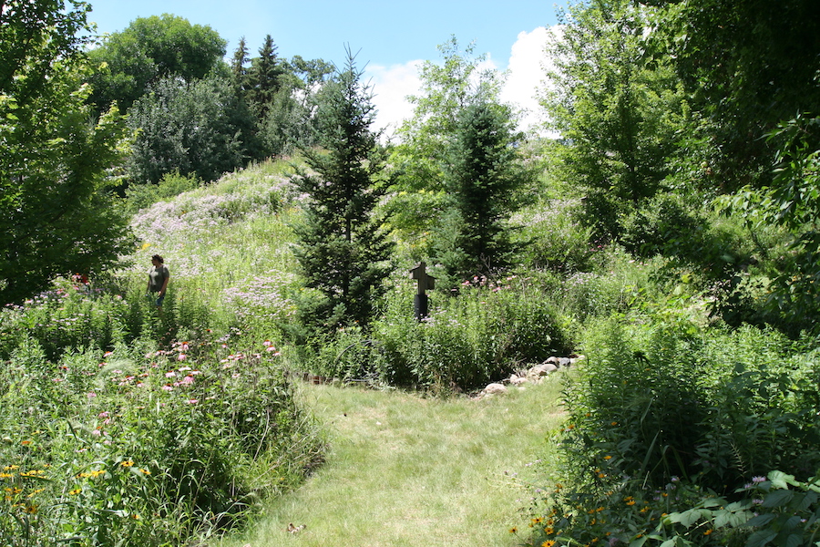paths on hillside