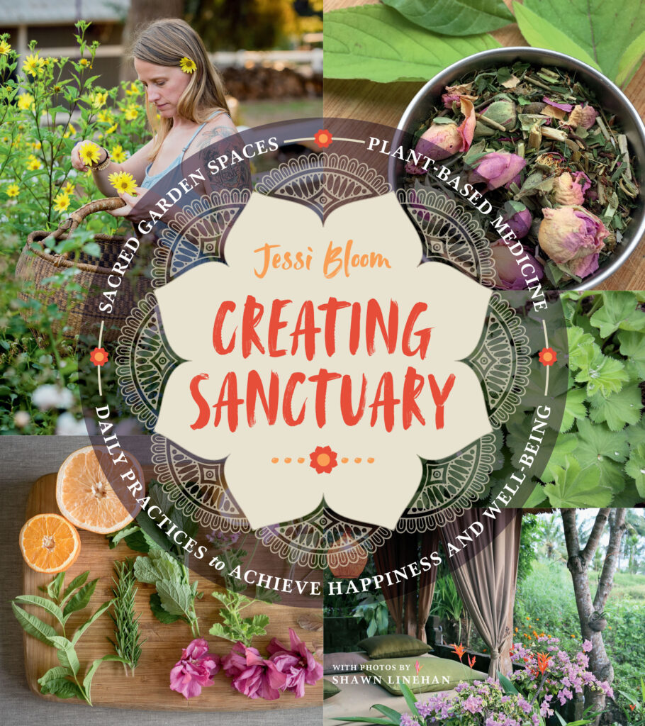 Creating Sanctuary cover