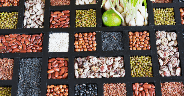 Collected bean seeds