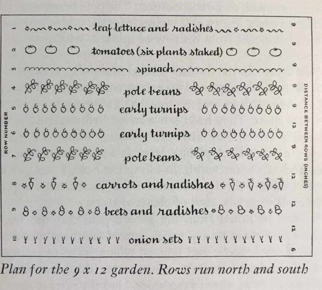 William Alderman rug garden