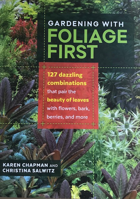 Foliage first cover