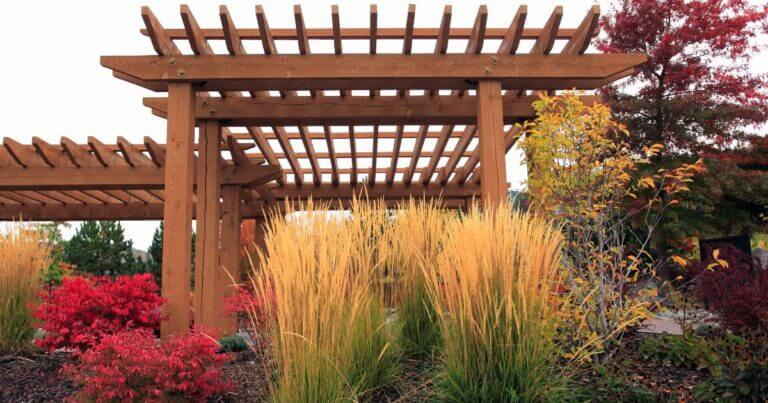 September Garden Checklist for Northern Gardeners