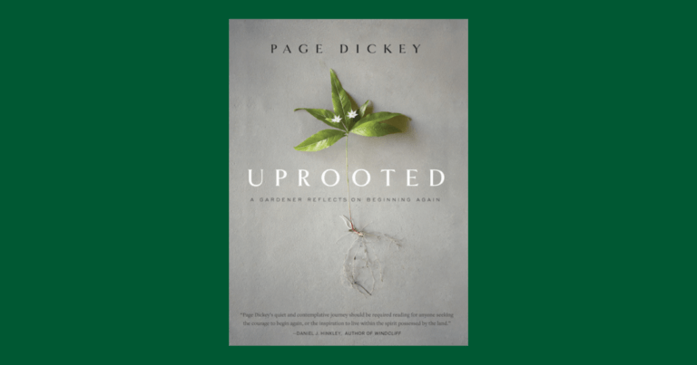 Book Review: Uprooted