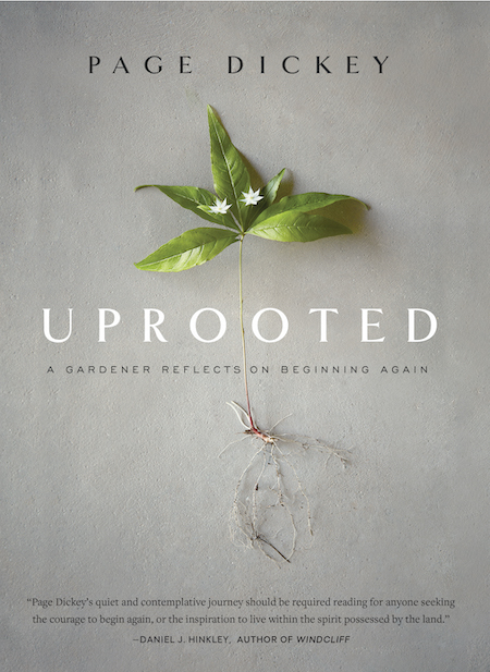 uprooted cover 