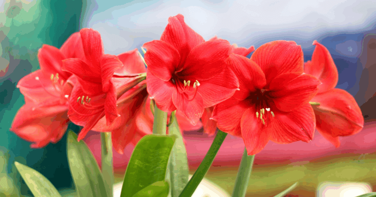 December gardening checklist