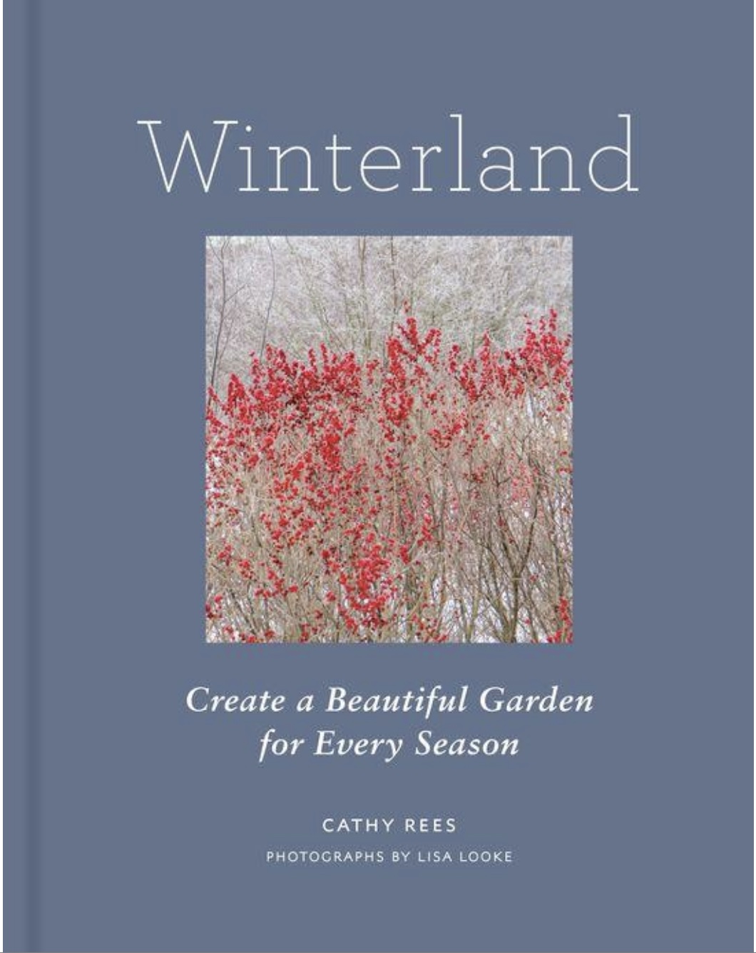 Blue and red book cover for Winterland