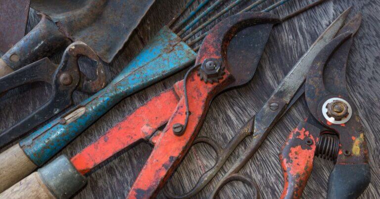 How to Clean Your Garden Tools