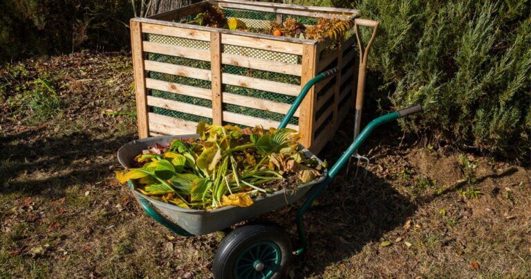 Compost for beginners