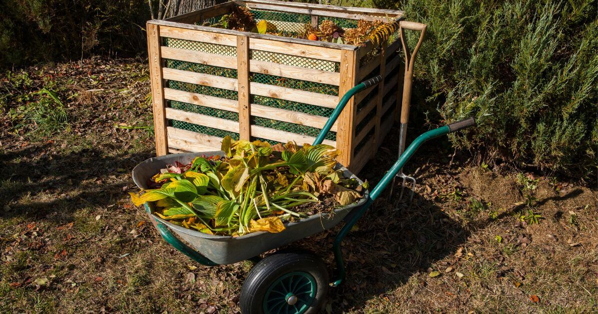 Compost for beginners
