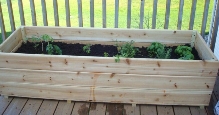Building Raised Bed Gardens: Two Basic Options