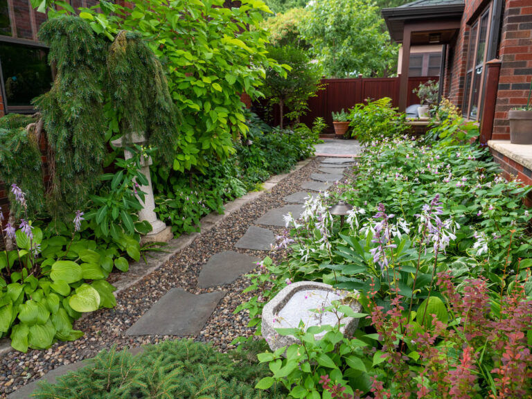 stone path through urban garden