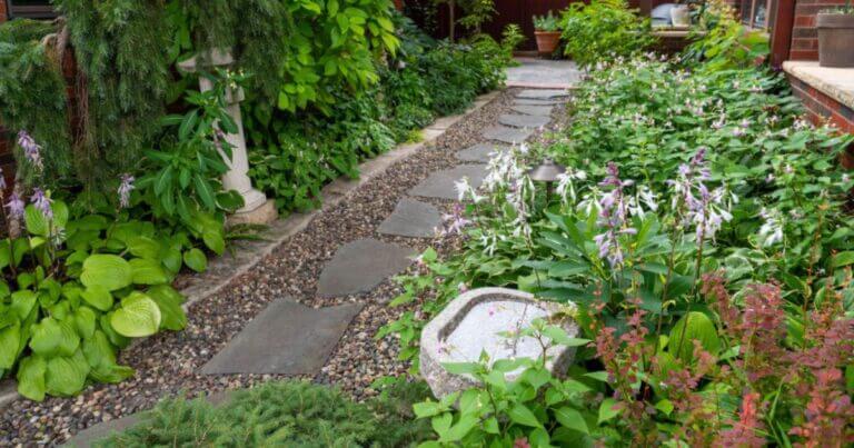 Virtual Garden Tour: Zone Pushing in St. Paul