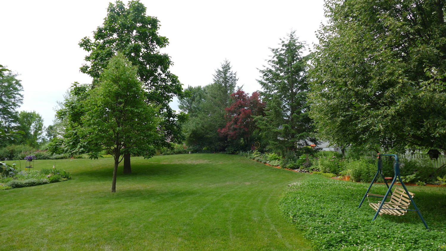 landscape with bee lawn on the right