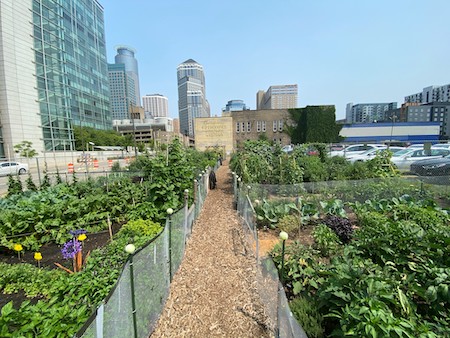garden surrounded by skyscrapers