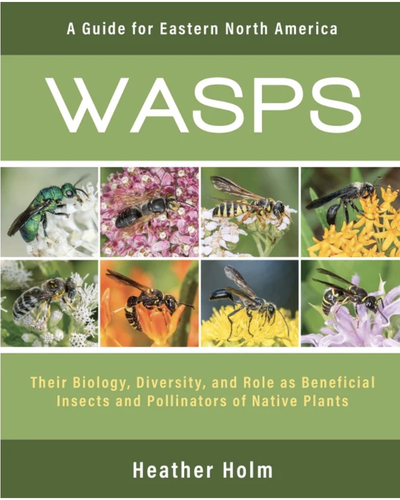 cover of wasp book