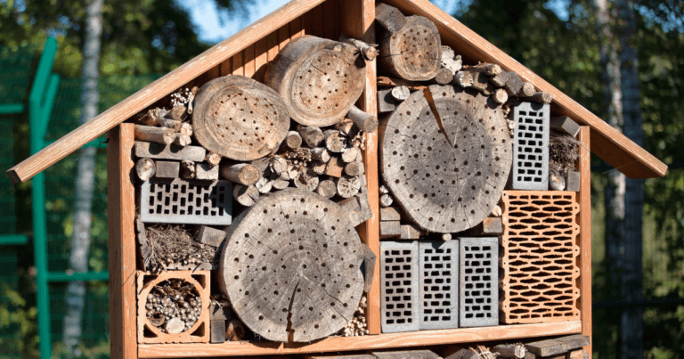 Bee house