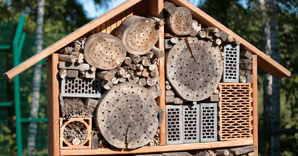 Bee house