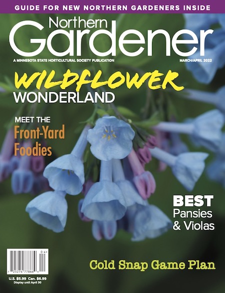 Magazine cover with blue flowers