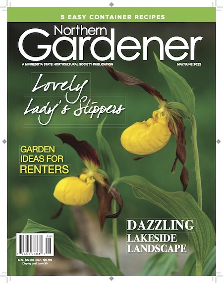 magazine cover with yellow flowers