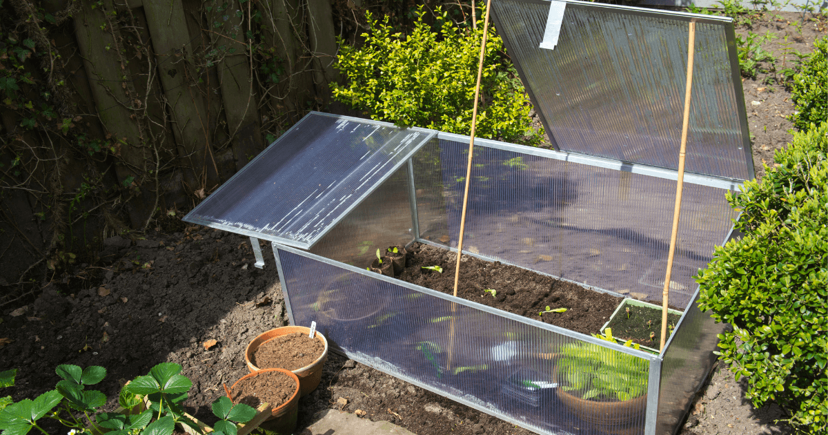 Jump start your vegetable garden with proper protection tips