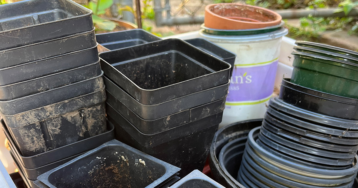 Ask a Master Gardener: Where Can I Recycle Plastic Plant Pots? - Minnesota  State Horticultural Society