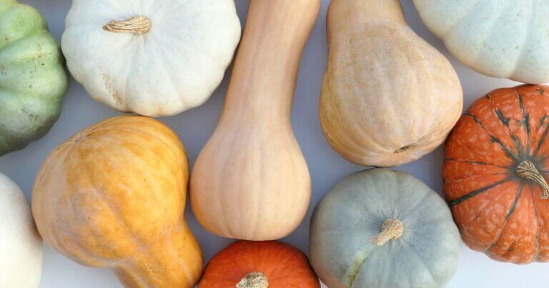 150 Tips: Root Cellars and Other Food Storage Ideas