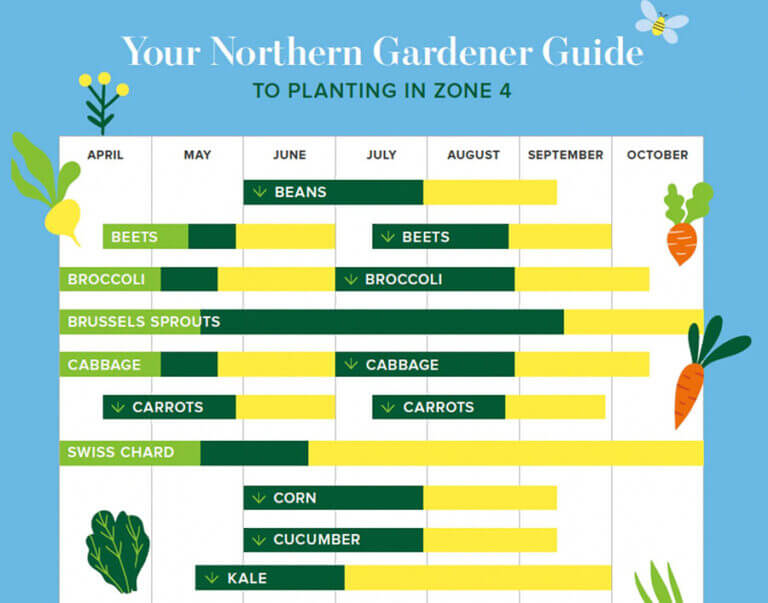 Zone 4 Planting
