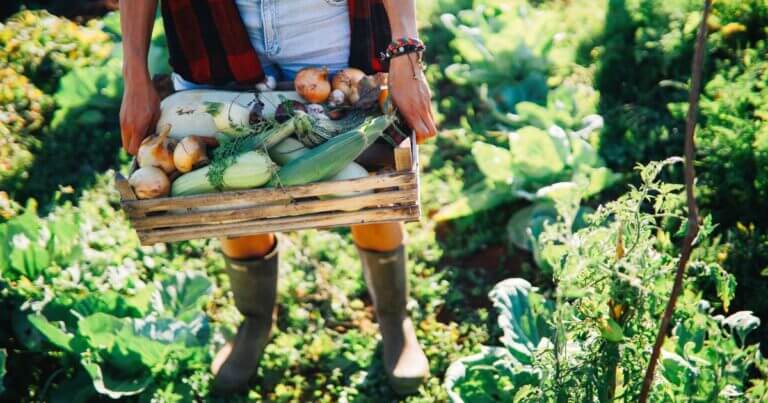 Partner Profile: Big River Farms