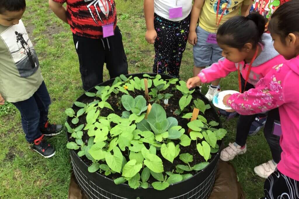 Kids playing in flowers.