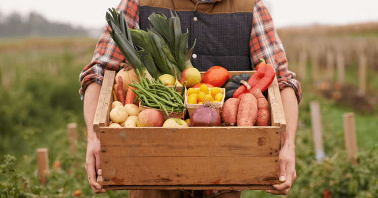 Handling, Harvesting and Storing Veggies