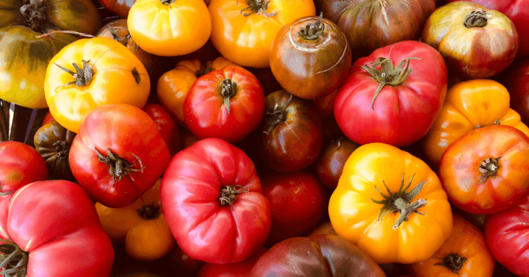 Why Grow Tomatoes in Containers?