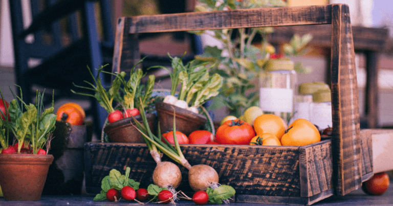 Three Books for Beginning Veg Gardeners in the North