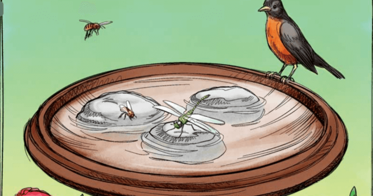 82 Realistically Sustainable Gardening Tips