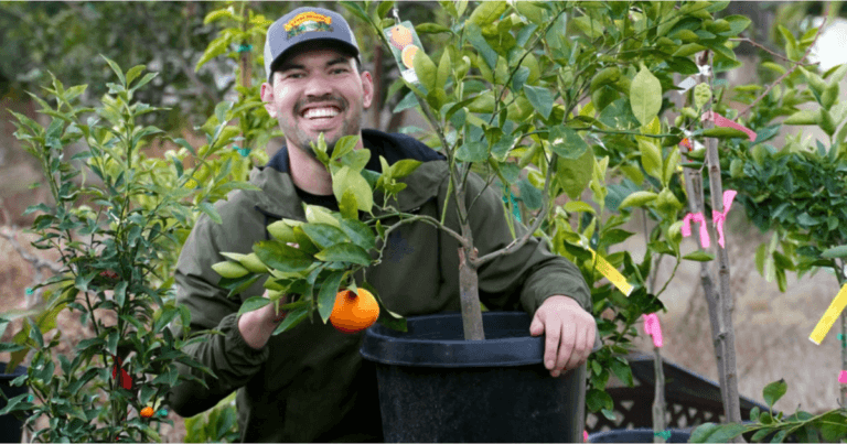 How Can We Make the Most of Our Edible Gardens? We Asked the Epic Expert