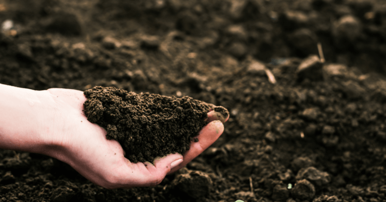 What is a Soil Amendment?