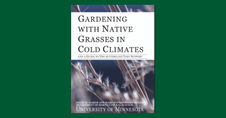 Gardening with Native Grasses in Cold Climates and a Guide to the Butterflies They Support
