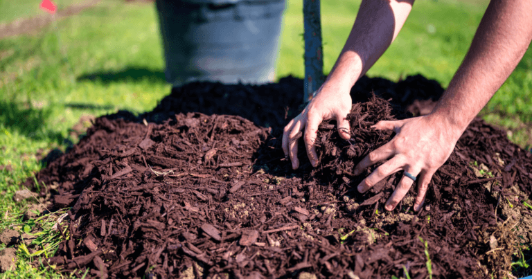 How to Get the Most Out of Your Mulch
