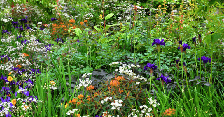 Landscaping with Native Plants