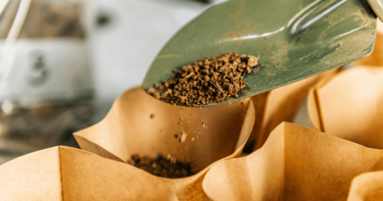 How to Read Soil Test Results