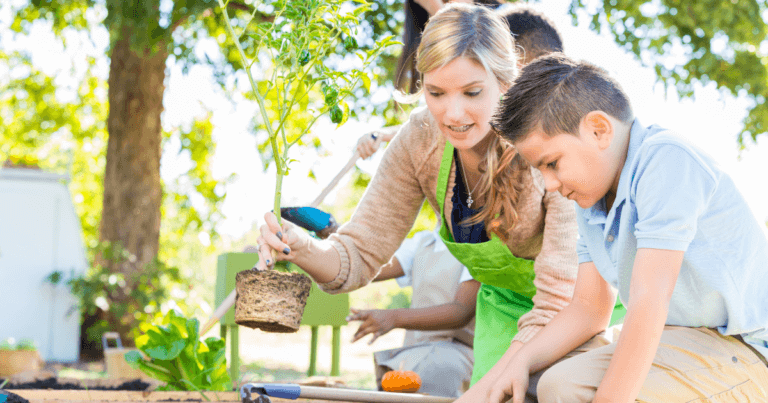 Minneapolis Public Schools – School Gardens