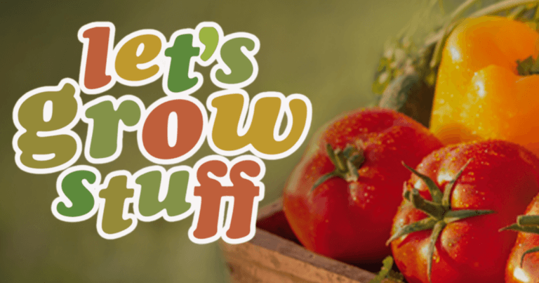 Let’s Grow Stuff: Essential Tools