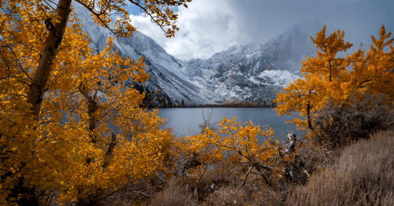 Fall into Winter