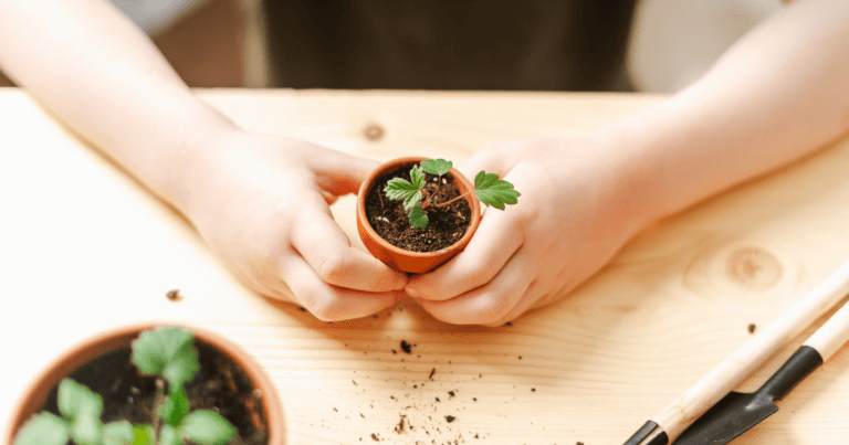 Youth Education Resources for Ages 5-11