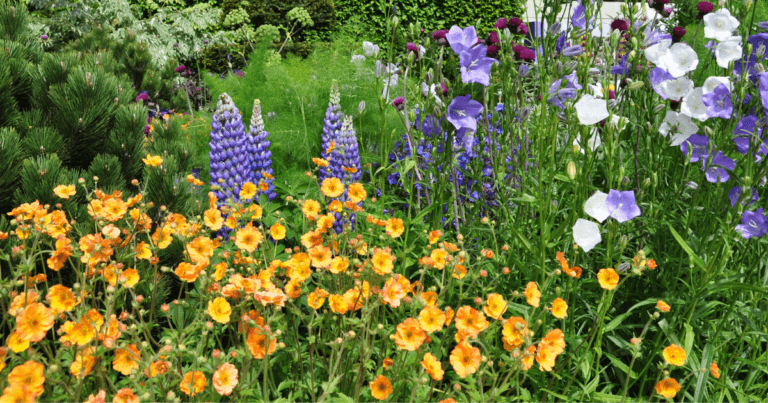 Soft Landings: Critical Habitat for Pollinators