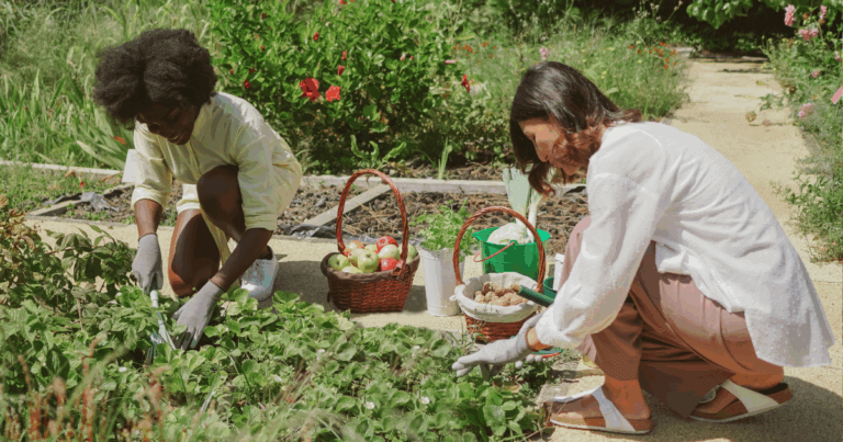 Community Gardens